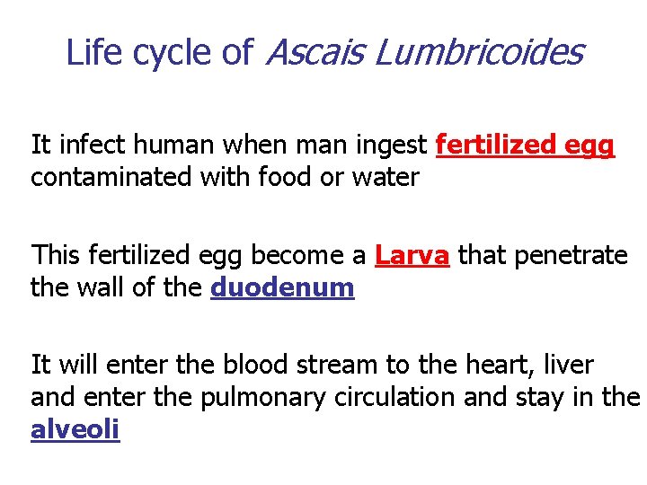 Life cycle of Ascais Lumbricoides It infect human when man ingest fertilized egg contaminated Life cycle of Ascais Lumbricoides It infect human when man ingest fertilized egg contaminated