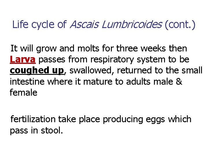 Life cycle of Ascais Lumbricoides (cont. ) It will grow and molts for three Life cycle of Ascais Lumbricoides (cont. ) It will grow and molts for three
