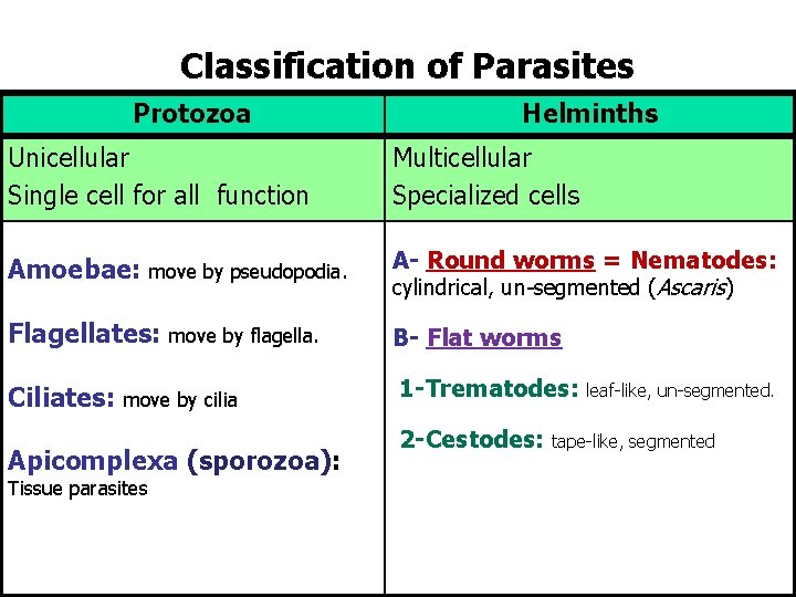protozoai helminthiasis)