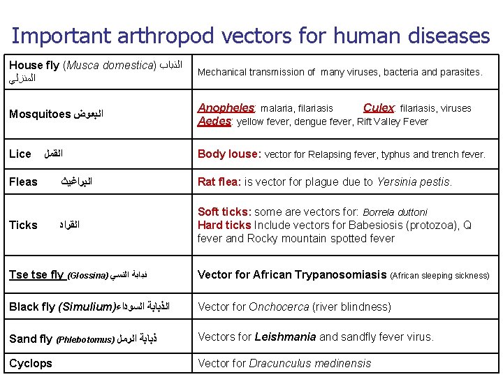 Important arthropod vectors for human diseases House fly (Musca domestica) ﺍﻟﺬﺑﺎﺏ ﺍﻟﻤﻨﺰﻟﻲ Mechanical transmission Important arthropod vectors for human diseases House fly (Musca domestica) ﺍﻟﺬﺑﺎﺏ ﺍﻟﻤﻨﺰﻟﻲ Mechanical transmission