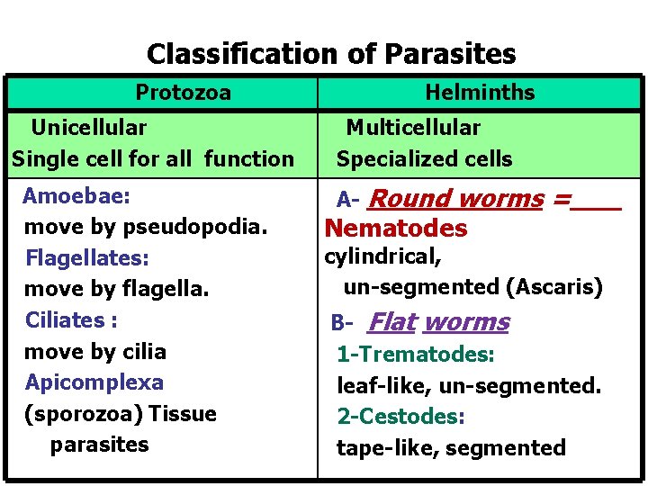 helminthiases protozoa)