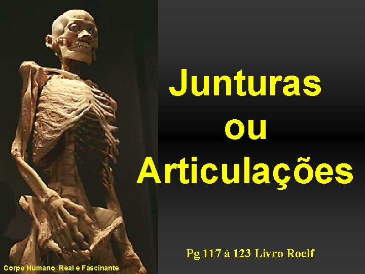 Junturas ou Articulações Pg 117 à 123 Livro Roelf Corpo Humano Real e Fascinante