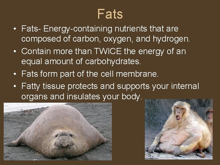 Fats • Fats- Energy-containing nutrients that are composed of carbon, oxygen, and hydrogen. •
