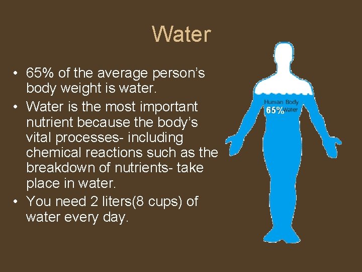 Water • 65% of the average person’s body weight is water. • Water is