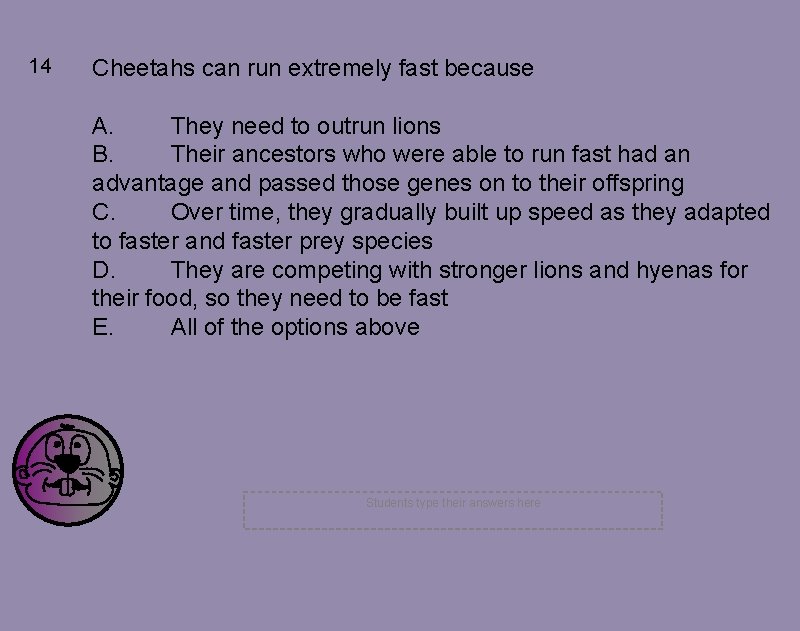 14 Cheetahs can run extremely fast because A. They need to outrun lions B.