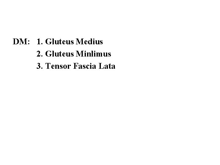 DM: 1. Gluteus Medius 2. Gluteus Minlimus 3. Tensor Fascia Lata DM: 1. Gluteus Medius 2. Gluteus Minlimus 3. Tensor Fascia Lata