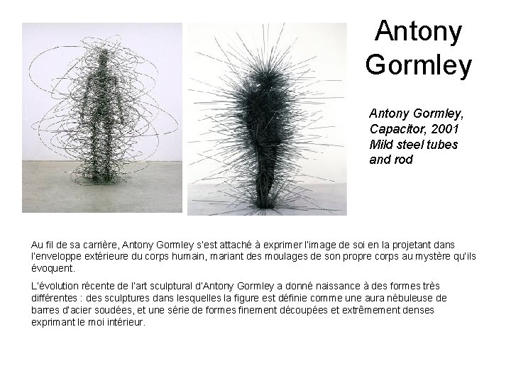 Antony Gormley, Capacitor, 2001 Mild steel tubes and rod Au fil de sa carrière,