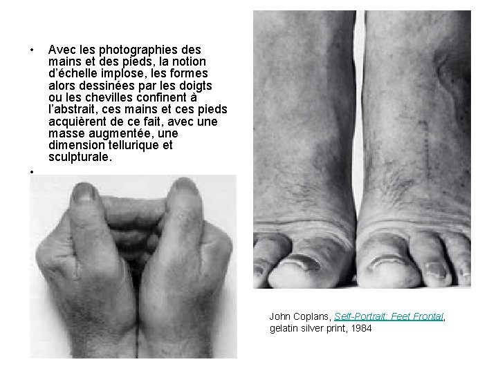  • • Avec les photographies des mains et des pieds, la notion d’échelle