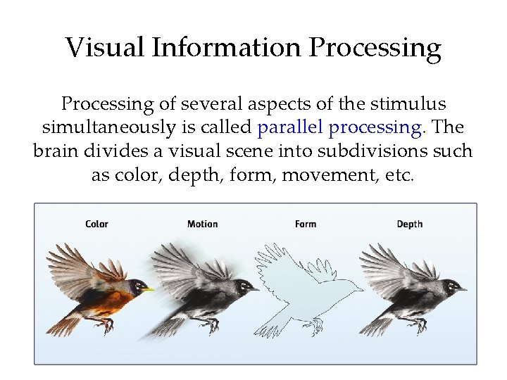 Visual Information Processing of several aspects of the stimulus simultaneously is called parallel processing.