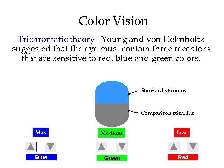Color Vision Trichromatic theory: Young and von Helmholtz suggested that the eye must contain
