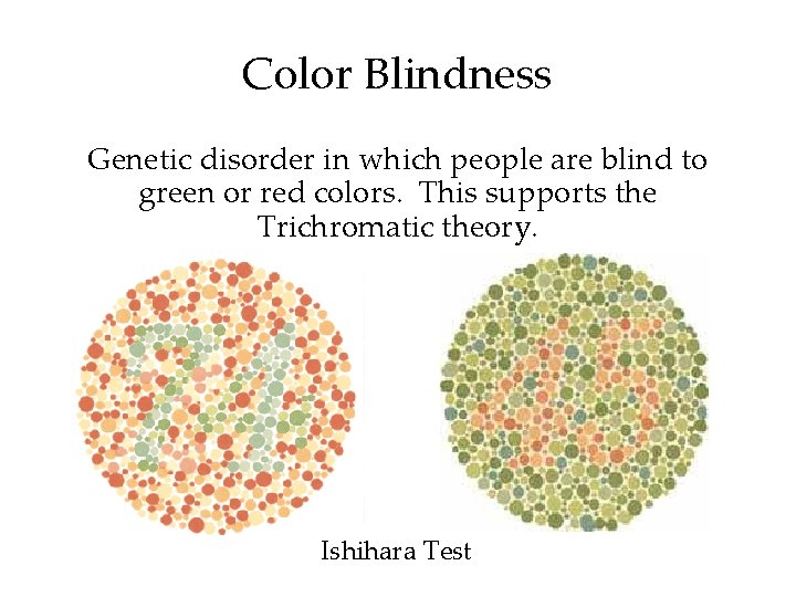 Color Blindness Genetic disorder in which people are blind to green or red colors.