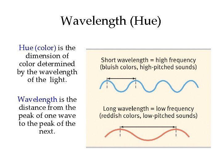 Wavelength (Hue) Hue (color) is the dimension of color determined by the wavelength of
