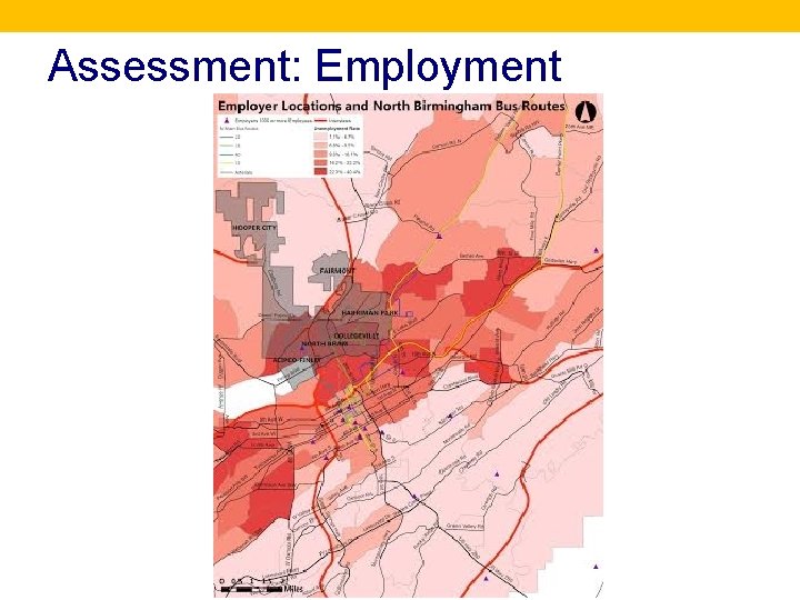 Assessment: Employment 