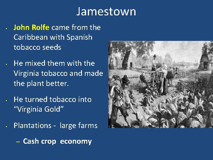 Jamestown • • John Rolfe came from the Caribbean with Spanish tobacco seeds He