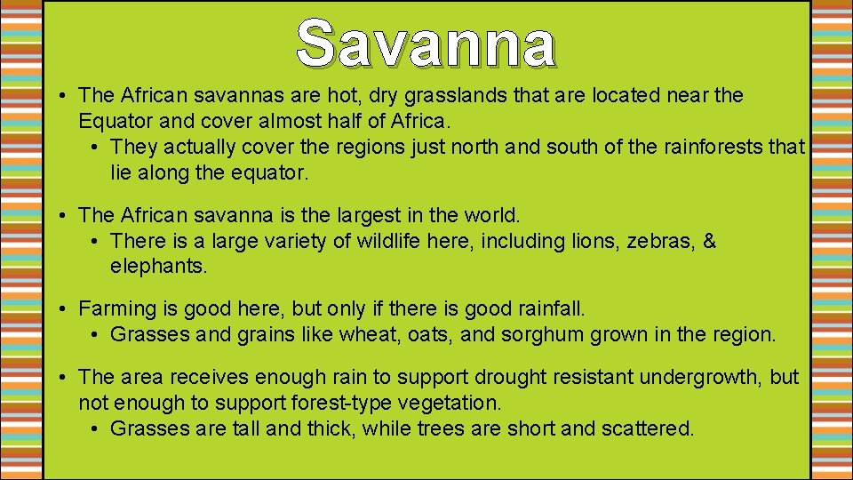 Savanna • The African savannas are hot, dry grasslands that are located near the