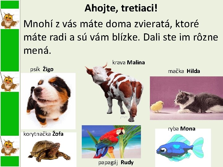 Ahojte, tretiaci! Mnohí z vás máte doma zvieratá, ktoré máte radi a sú vám