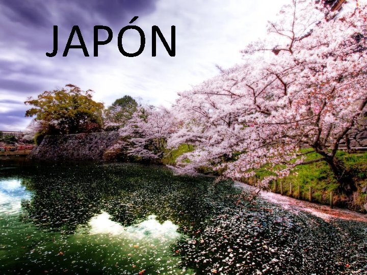 JAPÓN JAPÓN