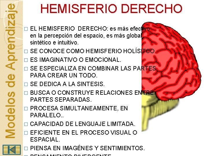 Modelos de Aprendizaje HEMISFERIO DERECHO EL HEMISFERIO DERECHO: es más efectivo en la percepción