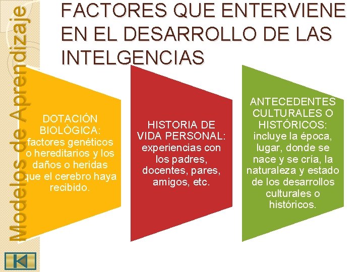 Modelos de Aprendizaje FACTORES QUE ENTERVIENE EN EL DESARROLLO DE LAS INTELGENCIAS DOTACIÓN BIOLÒGICA: