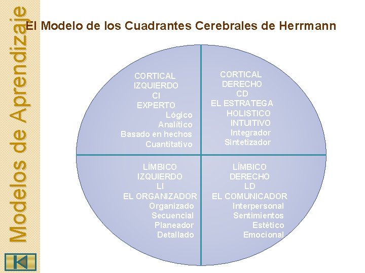 Modelos de Aprendizaje El Modelo de los Cuadrantes Cerebrales de Herrmann CORTICAL IZQUIERDO CI