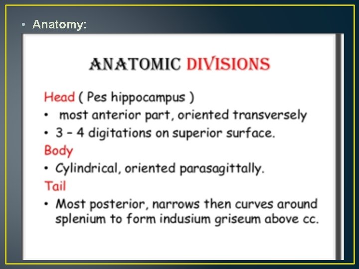 • Anatomy: • Anatomy: