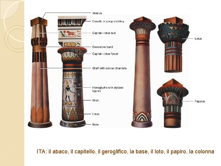 ITA: il abaco, il capitello, il geroglifico, la base, il loto, il papiro, la