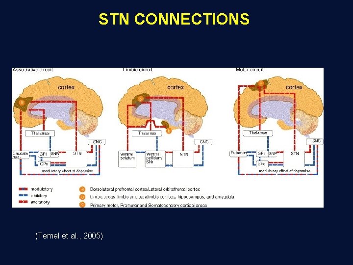 STN CONNECTIONS (Temel et al. , 2005) 