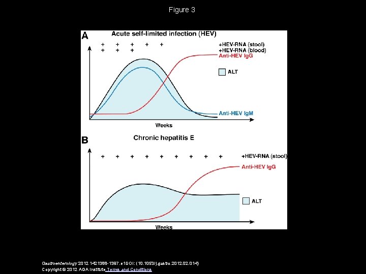 Figure 3 Gastroenterology 2012 1421388 -1397. e 1 DOI: (10. 1053/j. gastro. 2012. 014)