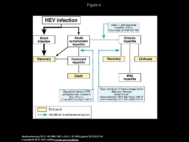 Figure 4 Gastroenterology 2012 1421388 -1397. e 1 DOI: (10. 1053/j. gastro. 2012. 014)