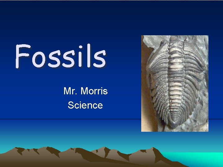 Fossils Mr. Morris Science 