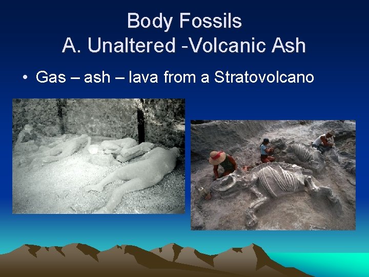 Body Fossils A. Unaltered -Volcanic Ash • Gas – ash – lava from a