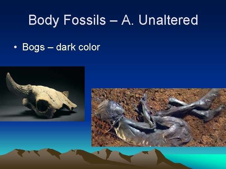 Body Fossils – A. Unaltered • Bogs – dark color 