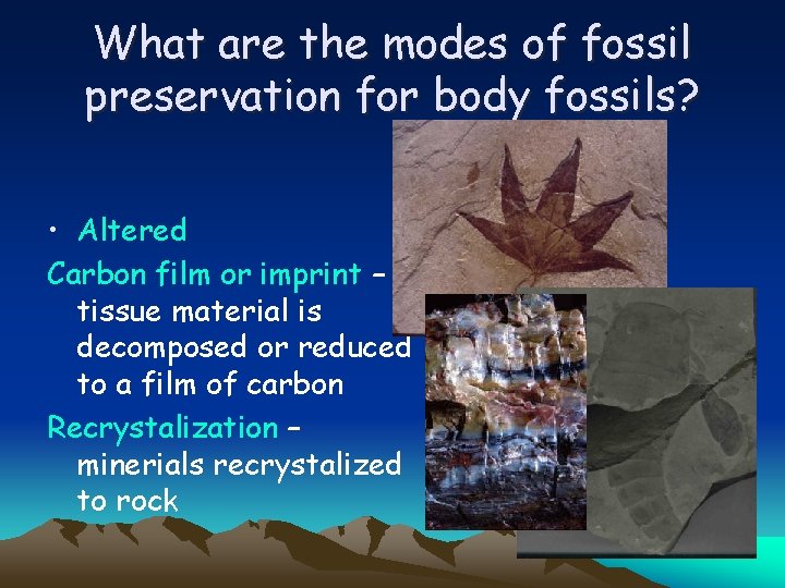 What are the modes of fossil preservation for body fossils? • Altered Carbon film