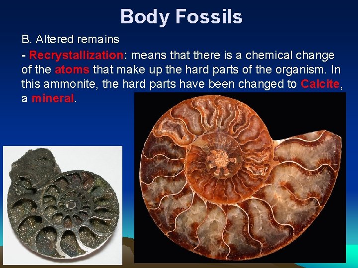 Body Fossils B. Altered remains - Recrystallization: means that there is a chemical change