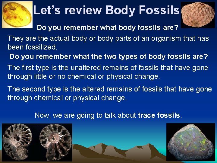 Let’s review Body Fossils Do you remember what body fossils are? They are the