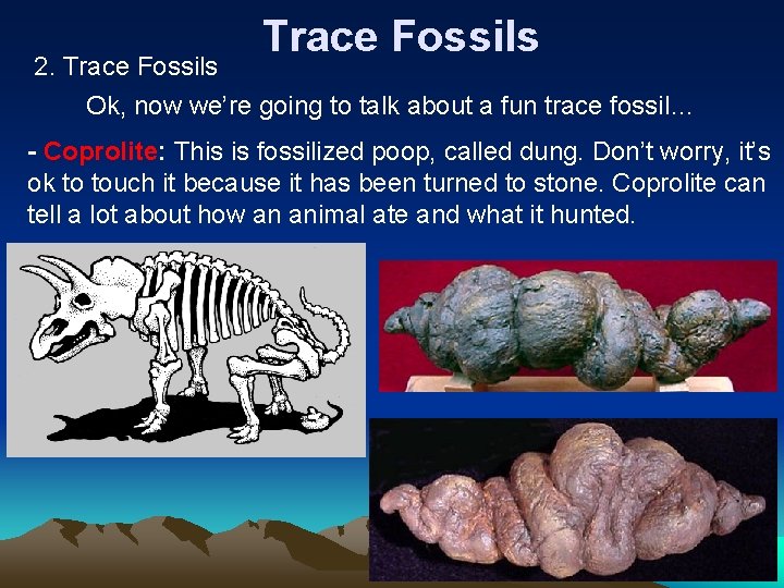 Trace Fossils 2. Trace Fossils Ok, now we’re going to talk about a fun