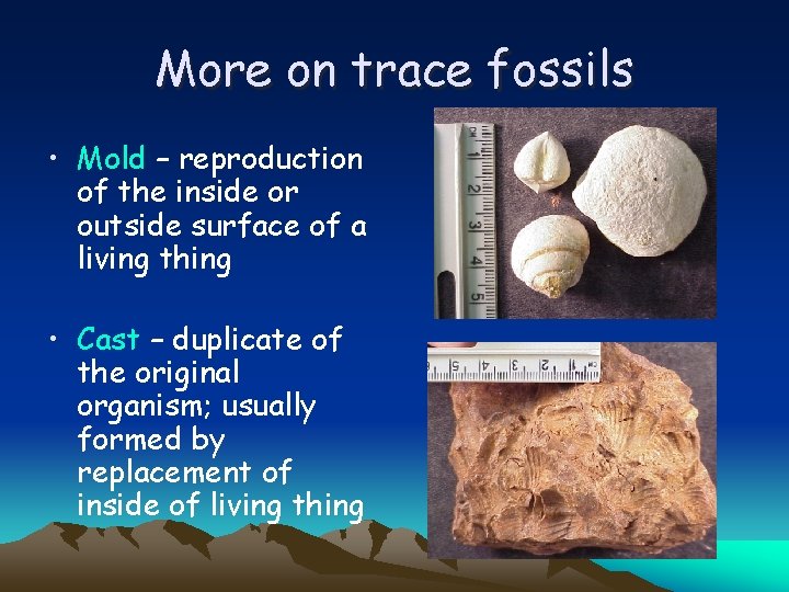 More on trace fossils • Mold – reproduction of the inside or outside surface