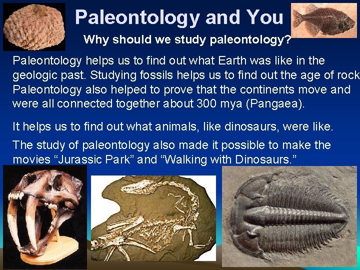 Paleontology and You Why should we study paleontology? Paleontology helps us to find out