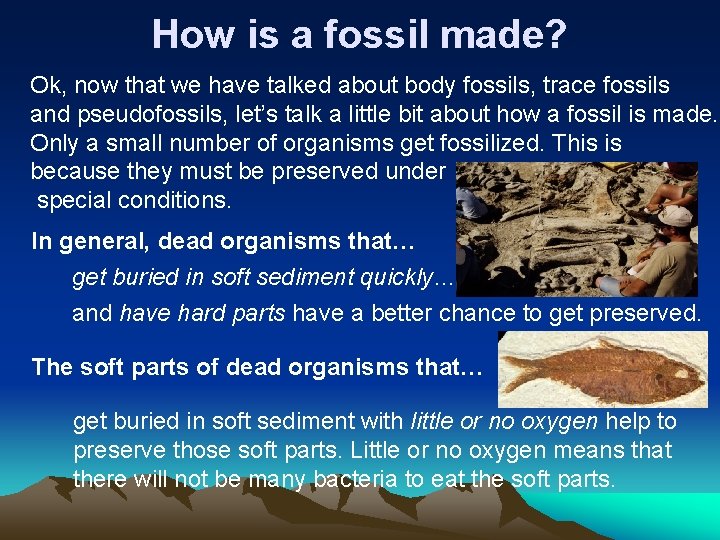 How is a fossil made? Ok, now that we have talked about body fossils,