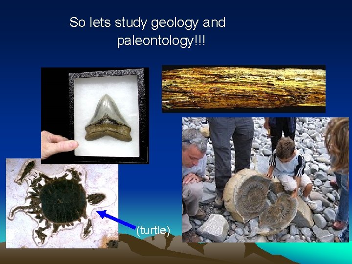 So lets study geology and paleontology!!! (turtle) 