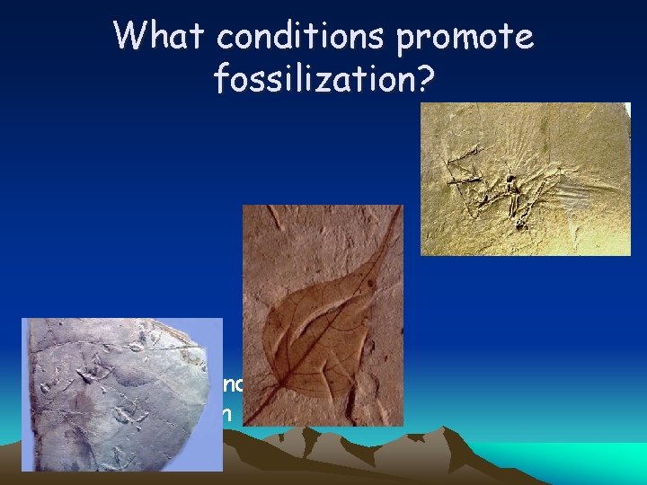 What conditions promote fossilization? • Rapid burial and/or lack of oxygen 