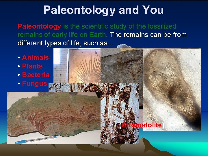 Paleontology and You Paleontology is the scientific study of the fossilized remains of early