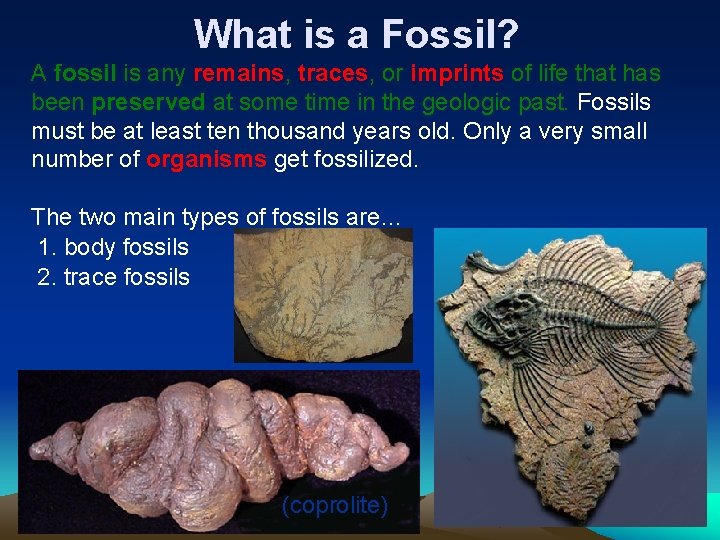 What is a Fossil? A fossil is any remains, traces, or imprints of life