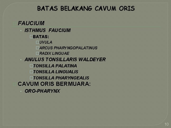 BATAS BELAKANG CAVUM ORIS � FAUCIUM • ISTHMUS FAUCIUM �BATAS: �UVULA �ARCUS PHARYNGOPALATINUS �RADIX