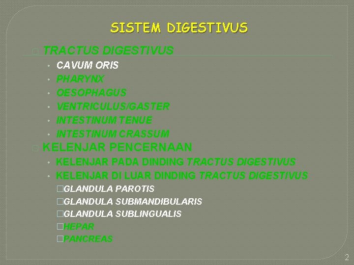 SISTEM DIGESTIVUS � TRACTUS DIGESTIVUS • CAVUM ORIS • PHARYNX • OESOPHAGUS • VENTRICULUS/GASTER