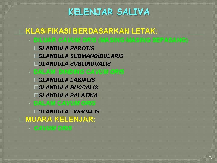 KELENJAR SALIVA � KLASIFIKASI BERDASARKAN LETAK: • DILUAR CAVUM ORIS (MASING-MASING SEPASANG) �GLANDULA PAROTIS