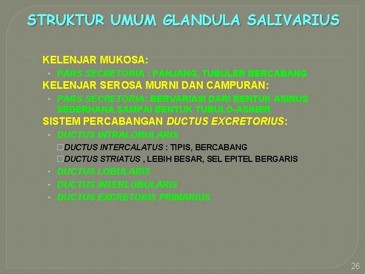 STRUKTUR UMUM GLANDULA SALIVARIUS � KELENJAR MUKOSA: • PARS SECRETORIA : PANJANG, TUBULER BERCABANG