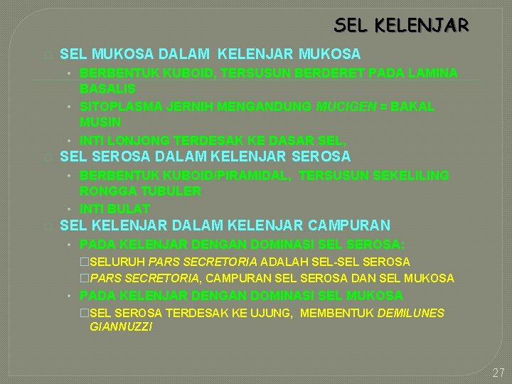 SEL KELENJAR � SEL MUKOSA DALAM KELENJAR MUKOSA • BERBENTUK KUBOID, TERSUSUN BERDERET PADA