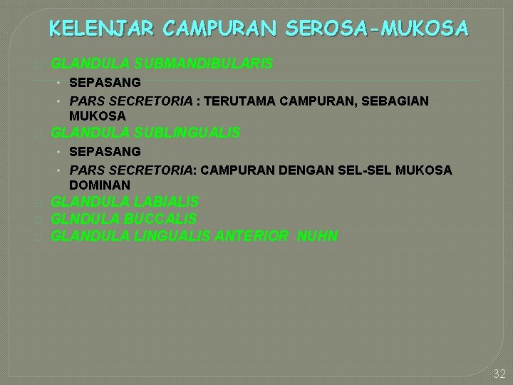 KELENJAR CAMPURAN SEROSA-MUKOSA � GLANDULA SUBMANDIBULARIS • SEPASANG • PARS SECRETORIA : TERUTAMA CAMPURAN,