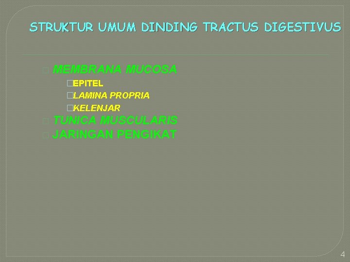 STRUKTUR UMUM DINDING TRACTUS DIGESTIVUS � MEMBRANA MUCOSA �EPITEL �LAMINA PROPRIA �KELENJAR TUNICA MUSCULARIS